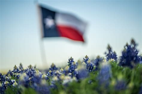 Texans Unite Across the Aisle to Defend the Texas Dream Act - Texas ...