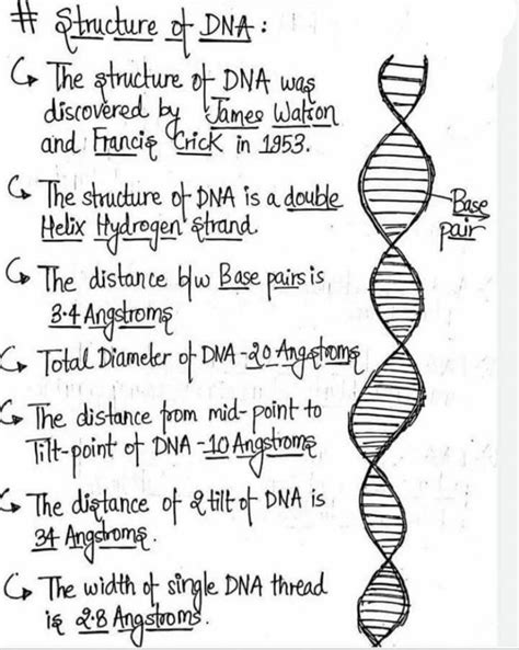 Basic Science Examples 的图像结果