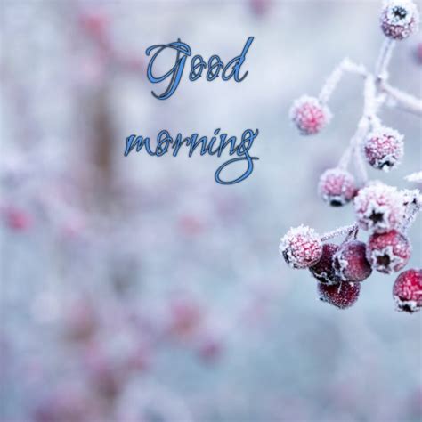 40+ Good Morning Winter Images - Good Morning Pictures