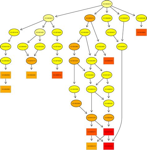 Image result for Biological Image Analysis Using R