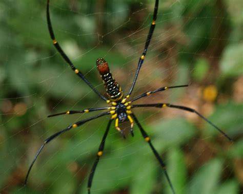 KHAOLAK VISTA TOURS AND TRAVEL (2026) All You Need to Know BEFORE You ...