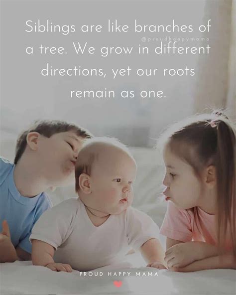 100 best quotes about siblings and their bond with images – Artofit