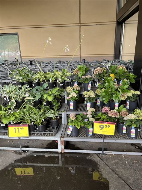 FRED MEYER PHARMACY - 6615 NE Glisan St, Portland OR - Hours ...