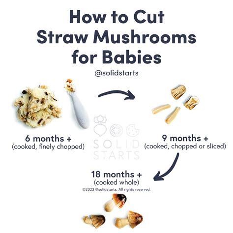 Straw Mushroom for Babies - When Can Babies Eat Straw Mushrooms - Solid Starts