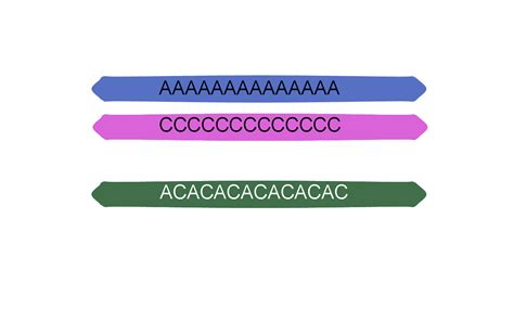 Image result for Ancestry Triangulation