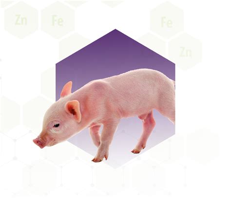 Zinc Oxide Side Effects at Christopher Foss blog