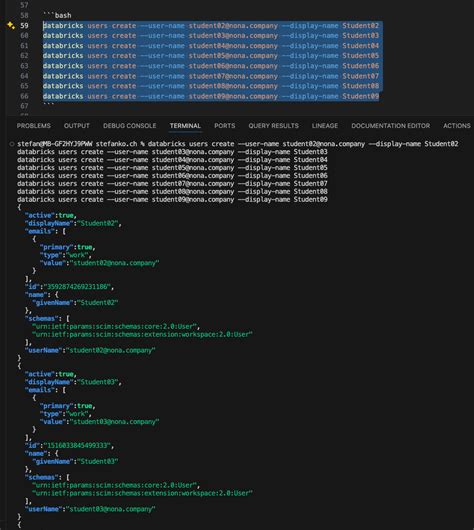 Image result for Using Databricks CLI