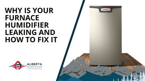 The Differences Between Heat Pumps and Furnaces