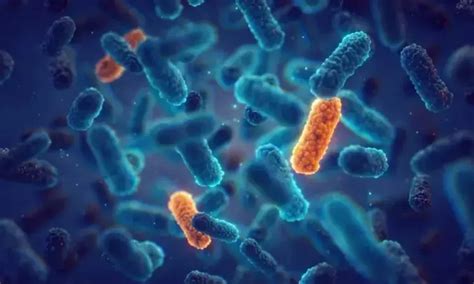 Novel antibiotic class promising against invasive infections caused by ...