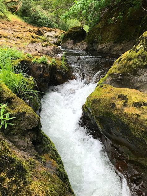 exploring deschutes falls park - Loving Life Moore