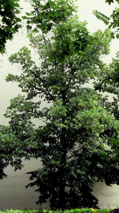 Tuff+Discord+Profile+Pictures Photos, Download The BEST Free Tuff+Discord+Profile+Pictures Stock ...