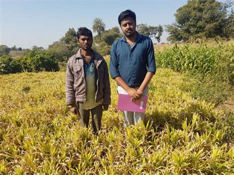 SURVEY | Anand Agricultural University, Anand