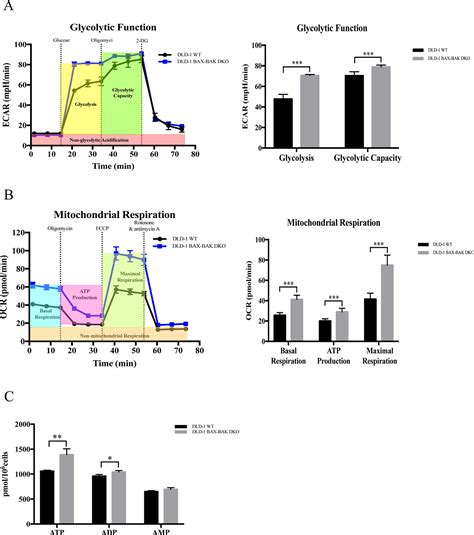 Frontiers | A Novel Drug Resistance Mechanism: Genetic Loss of Xeroderma Pigmentosum ...