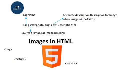 HTML Sample Images 的图像结果