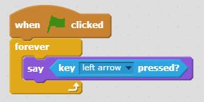 Image result for Boolean Expression Computer Science in Scratchg