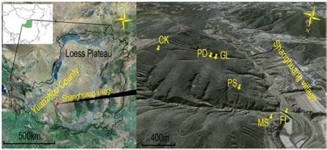 Nematode Community Characteristics Indicate Soil Restoration under ...