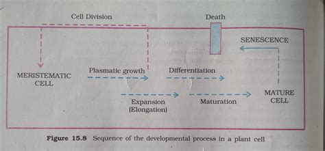 Can someone explain this in brief. - Brainly.in
