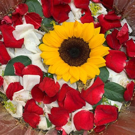 SPADIOS (2026) All You Need to Know BEFORE You Go (with Photos ...