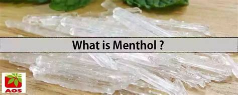 Menthol: Know 15 Unmatched Benefits, Uses | AOS Blog