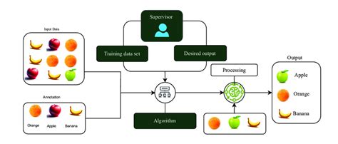 Image result for Supervised Classification Training Sets