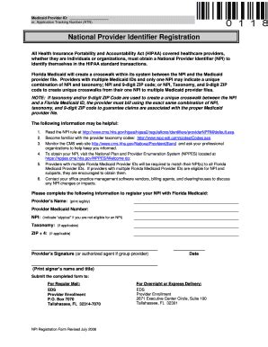 2007 FL National Provider Identifier Registration Form Fill Online ...