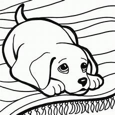 malvorlage hunde kostenlos 315 kostenlos malvorlagen hund mit of ausmalbilder hunde malvorlage hunde kostenlos 315 kostenlos malvorlagen hund mit of ausmalbilder hunde