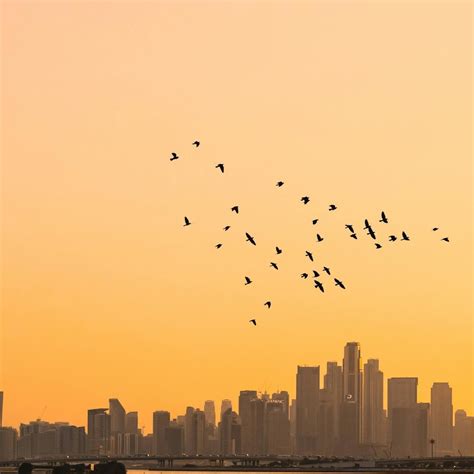 Image result for Increasing Note Counts