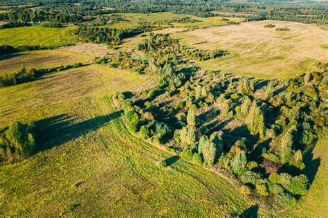 Can You Use a VA Home Loan to Buy Land and Build Later? | Mortgage ...