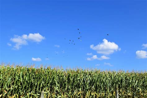 Nursing CE for License Renewal by State Archives - Renew Now CE