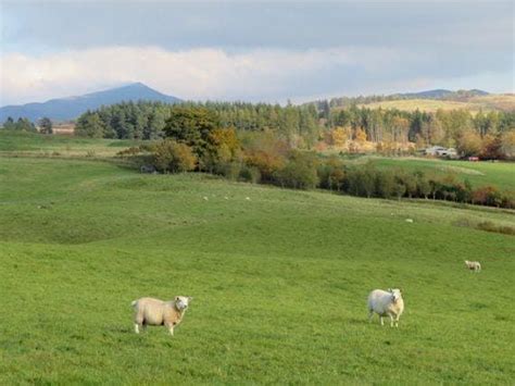 Trees: Management and Making best use of your timber resource, March 2 ...