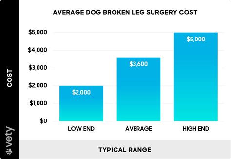 How Much Does Dog Broken Leg Surgery Cost? (2026)