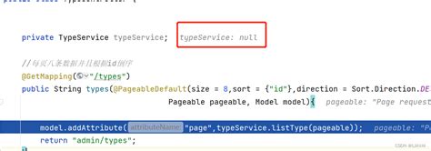 Java.lang.nullpointerexception Cannot Invoke Null Cucumber 的图像结果