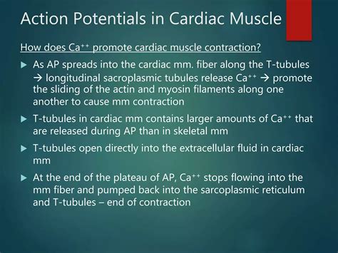 Cardiac cycle | PPT