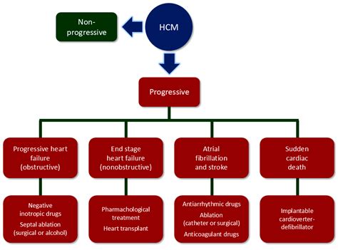 The Role of Cardiac Magnetic Resonance Imaging in the Management of ...