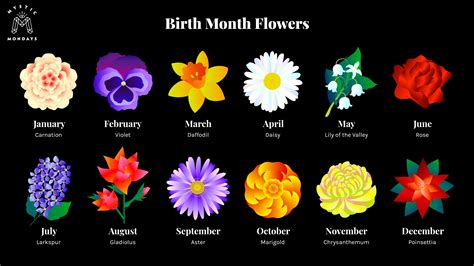 Birth flower and zodiac sign 60 photos - Youhoroscope.com