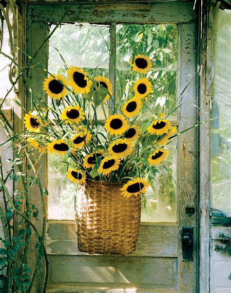 Flower Arrangements Using Sunflowers