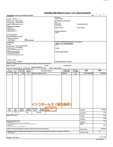DDP Invoice Sample 的图像结果