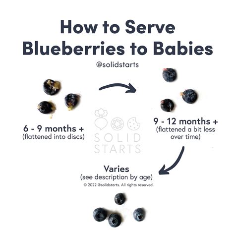 Can Babies Eat Blueberries