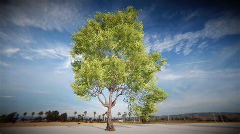 With a Tim Unity New Tree 的图像结果