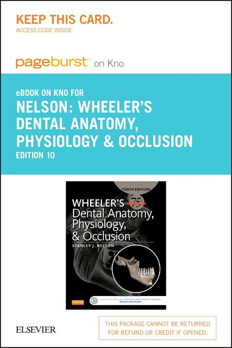 Buy Wheeler's Dental Anatomy, Physiology and Occlusion - Elsevier eBook ...
