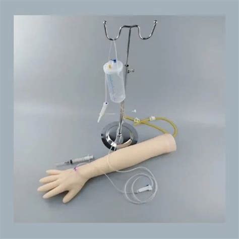Image result for IV Training Arm Model