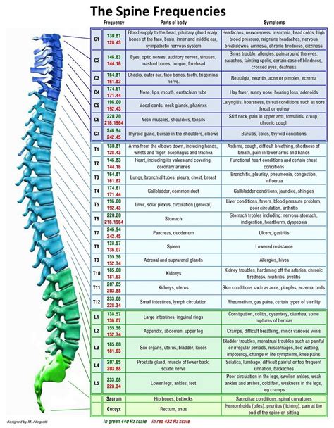 Human Body Frequency Chart