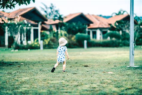 Log Luts 的图像结果