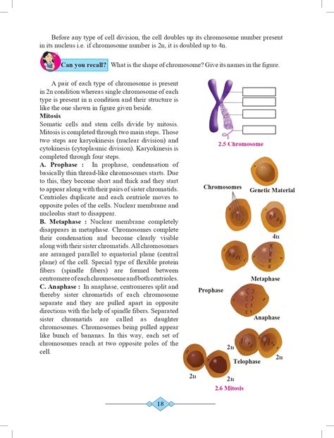 10th Science Maharashtra Board 的图像结果