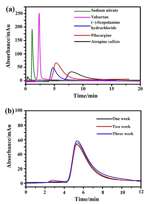 Immobilization of M3 Muscarinic Receptor to Rapidly Analyze Drug ...