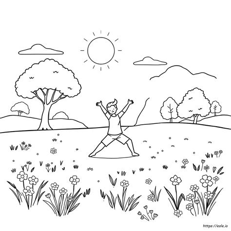 Daily Exercise 的图像结果