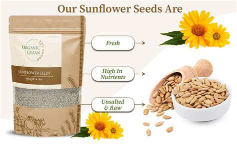 Buy Best Sunflower Seeds 100 gm Online – Organic Gyaan