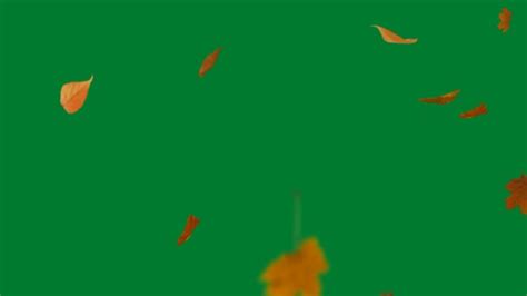 Celcius Greenscreen 的图像结果