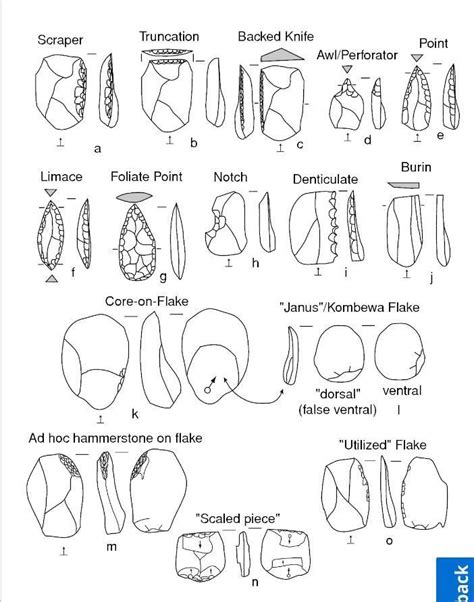 Draw the tool making techniques and write few lines about it.Please ...