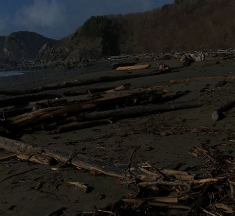 Best Campgrounds in Oregon